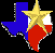 Texas Best Links